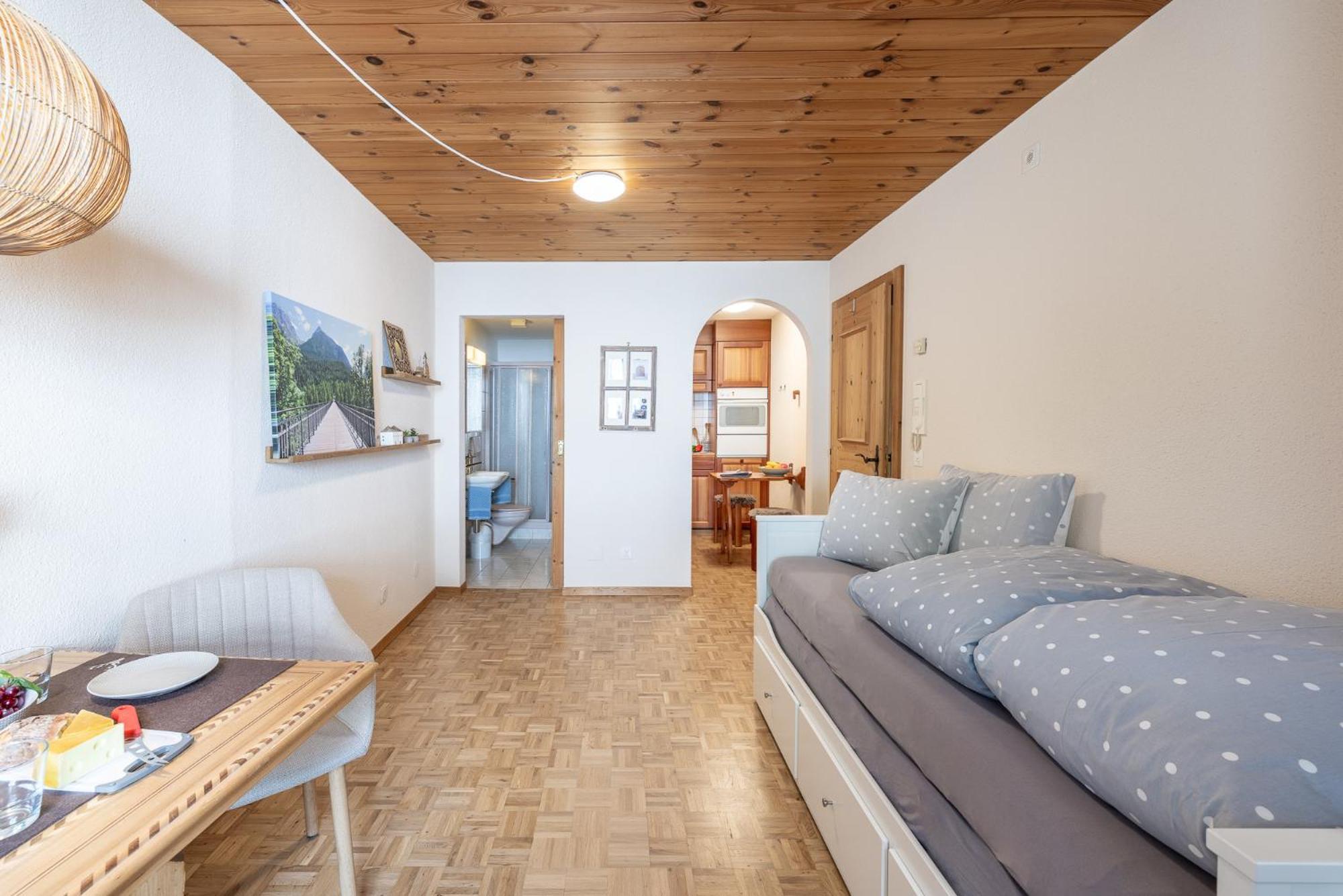 Chasa Vi Apartment Scuol